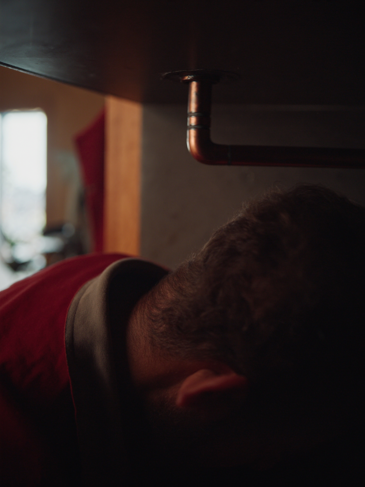 Dominic Condello — owner & licensed plumber